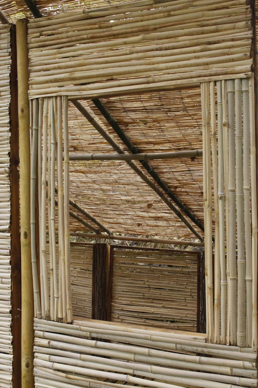 All the bamboos were cut in the garden by the river.