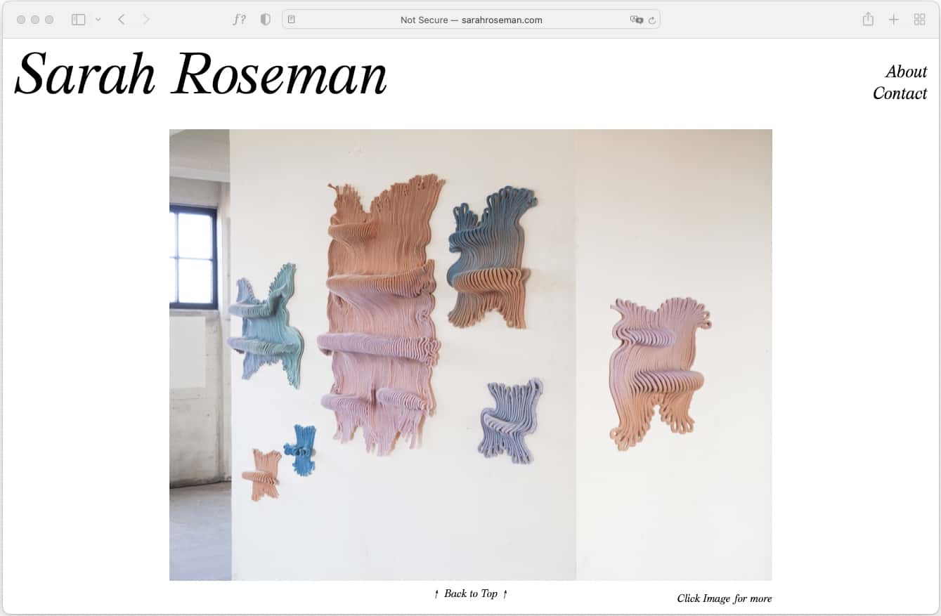 sarahroseman.com — Artist's website for Sarah Roseman, 2021.